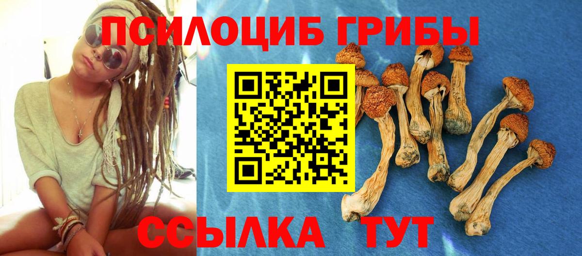 наркошоп  Галлюциногенные грибы ЛСД  Вход с VPN  Выборг 