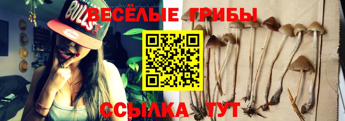 Псилоцибиновые грибы ЛСД Выборг